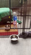 Review photo 1