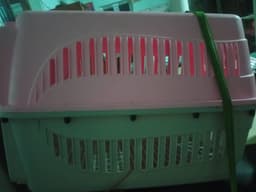 Review photo 2