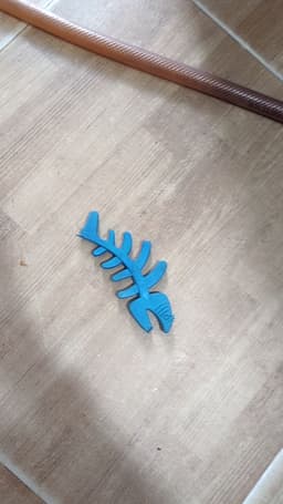 Review photo 1