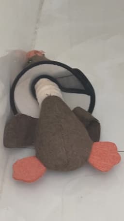 Review photo 1