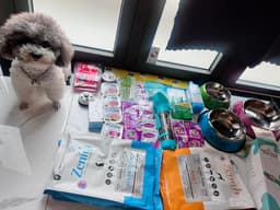 Review photo 1