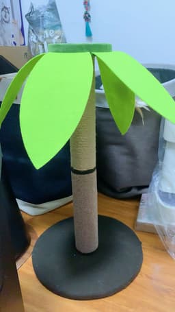 Review photo 1