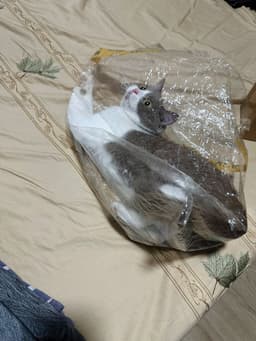 Review photo 1