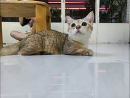 Review photo 1