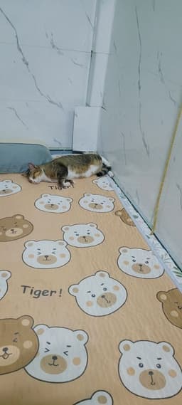 Review photo 1