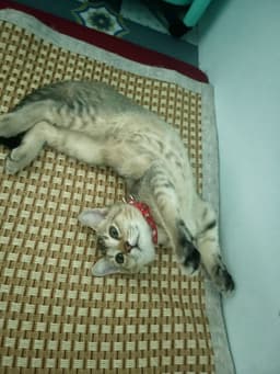 Review photo 1