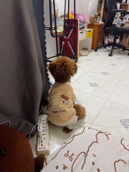 Review photo 1
