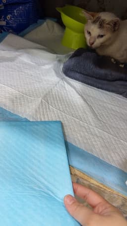 Review photo 1
