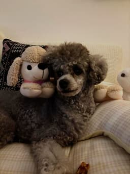 Review photo 1