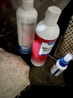 Review photo 1