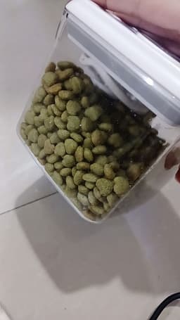 Review photo 1