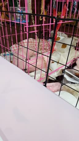 Review photo 1