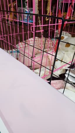 Review photo 1