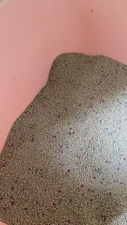 Review photo 1