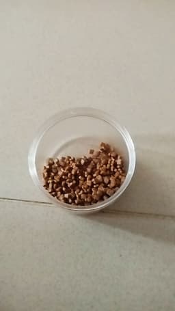 Review photo 1