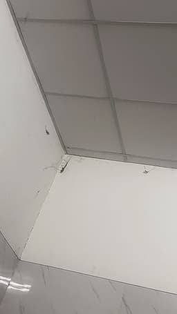 Review photo 1