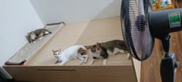 Review photo 1