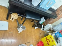Review photo 3