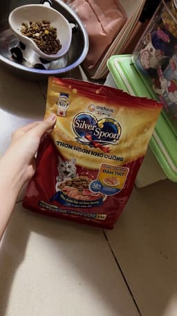 Review photo 1