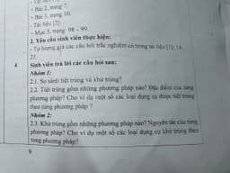 Review photo 1
