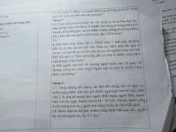 Review photo 1