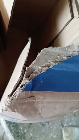 Review photo 1