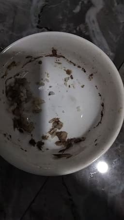 Review photo 1