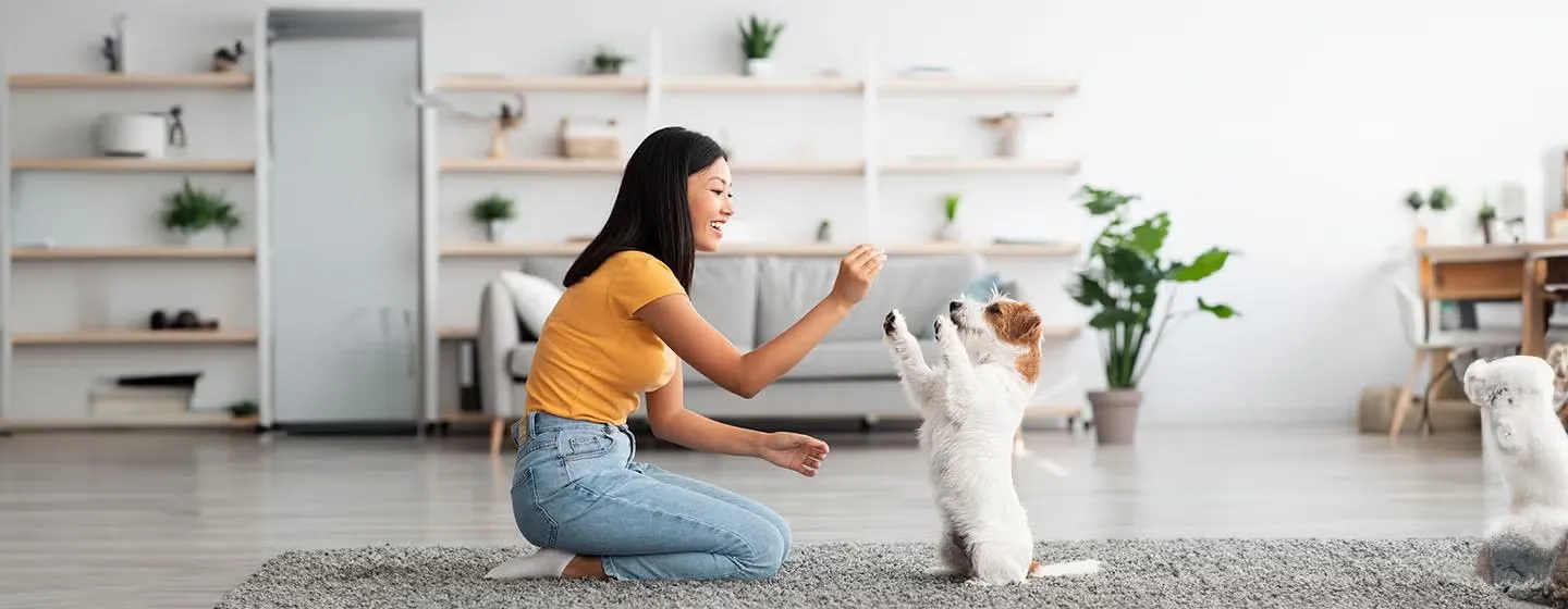 Paddy Pet Shop — Đồng hành cùng Boss yêu