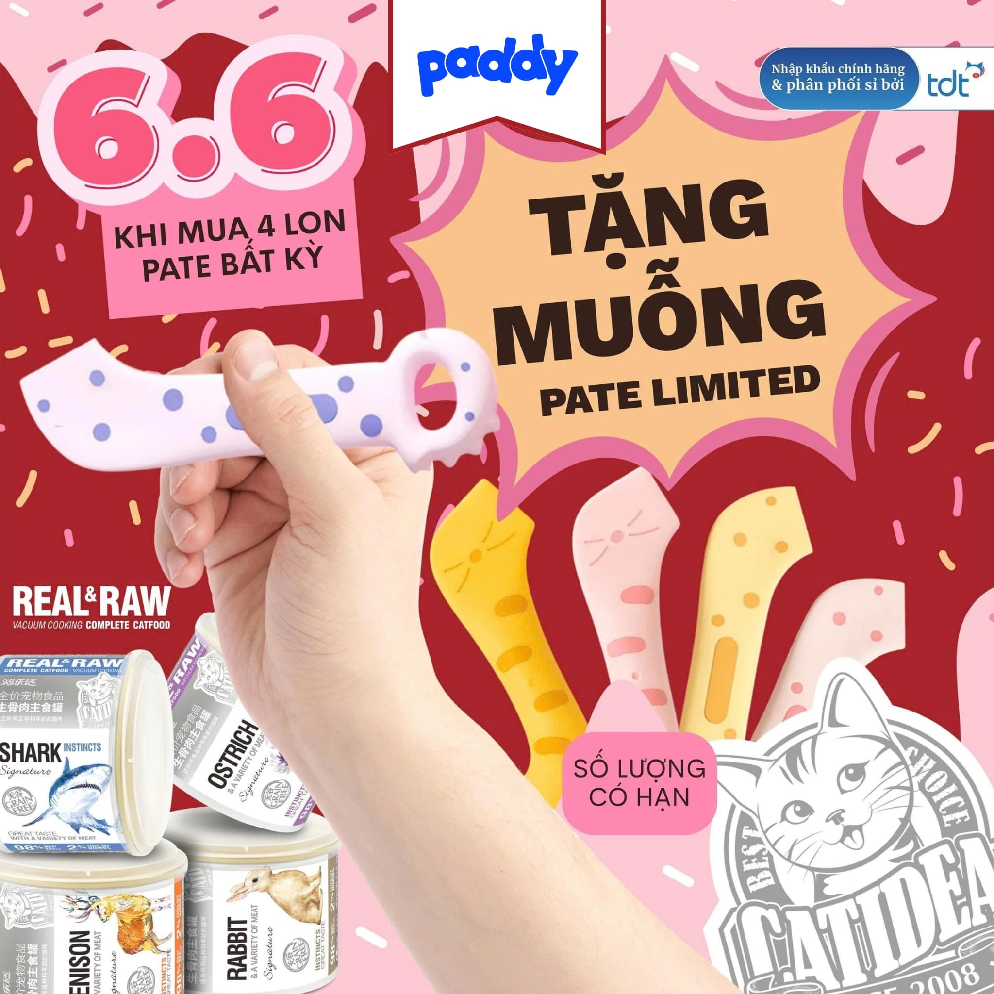 Pate Cho Mèo Real & Raw Catidea Lon 170g