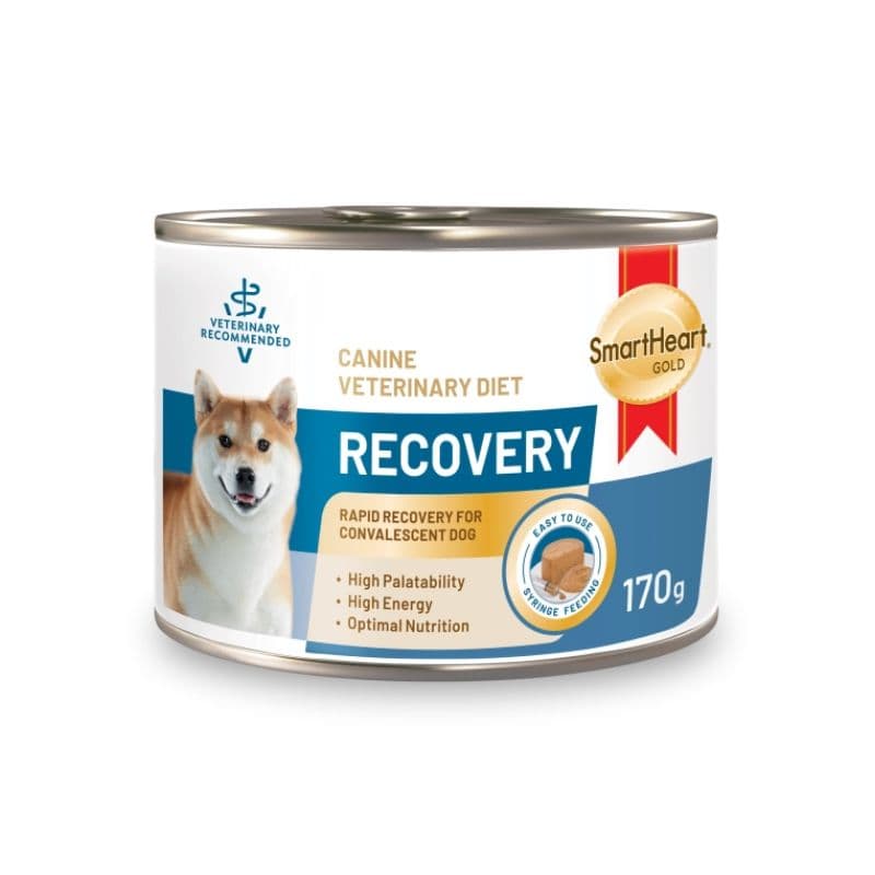 Pate Cho Chó Smartheart Gold Reovery Hỗ Trợ Phục Hồi 170g
