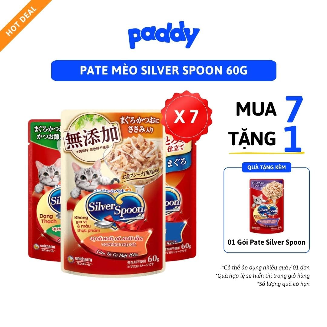 Pate Cho Mèo Silver Spoon Dạng Thạch & Sốt 60g