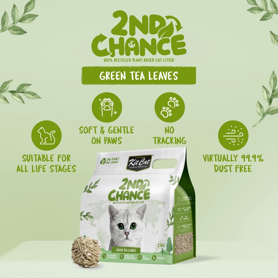 Cát Vệ Sinh Hữu Cơ Cho Mèo Kit Cat 2ND Chance 2.5kg