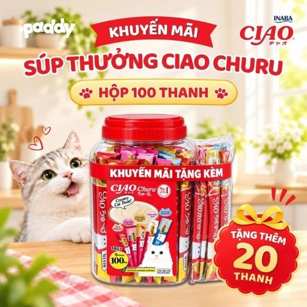 Súp Thưởng Cho Mèo Ciao Hộp 100 Tuýp