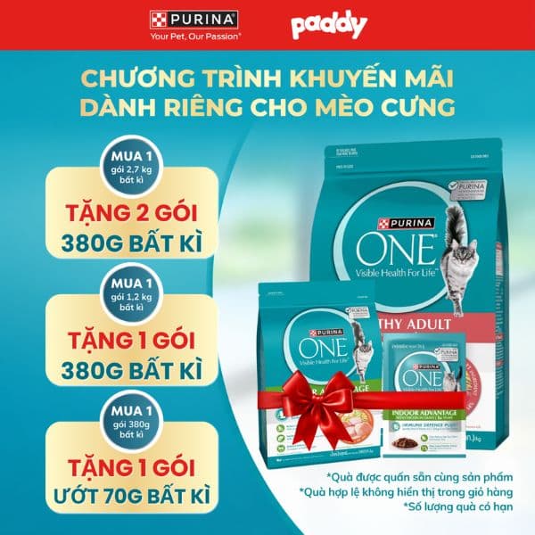 Hạt Cho Mèo Trưởng Thành Purina One Indoor