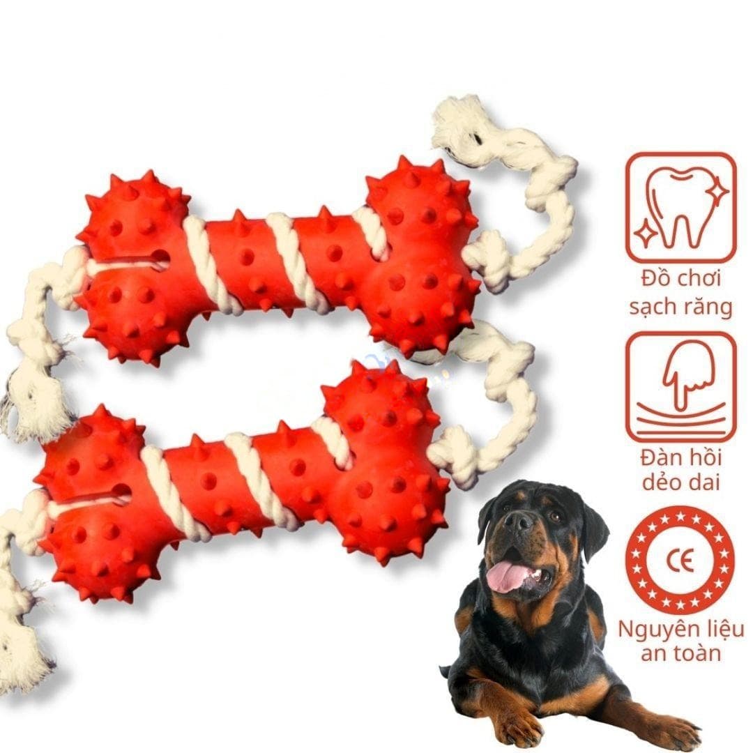 Đồ Chơi Cho Chó Xương Cao Su Gai Dày Đính Dây Thừng TPet - Paddy Pet Shop