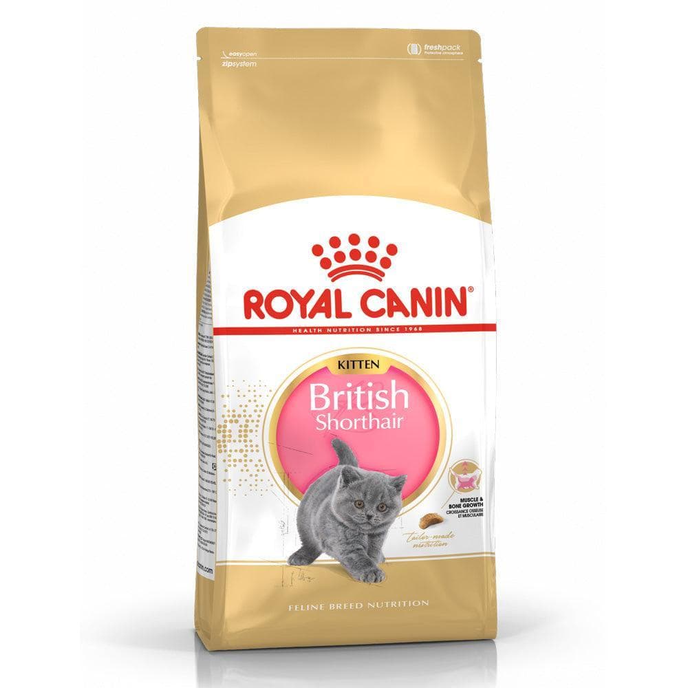 Thức Ăn Hạt Cho Mèo Con Anh Lông Ngắn Royal Canin British Shorthair Kitten - Paddy Pet Shop