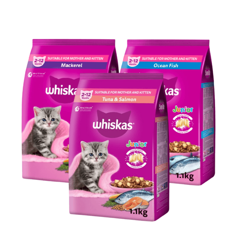 Hạt Whiskas Junior Cho Mèo Con