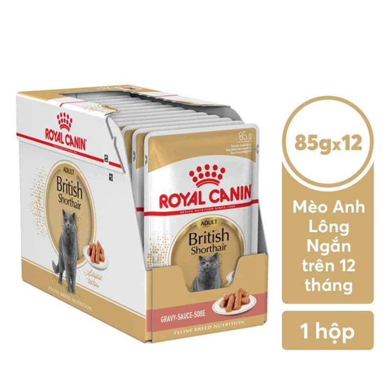 Pate Cho Mèo Anh Lông Ngắn Trưởng Thành Royal Canin British Shorthair 85g