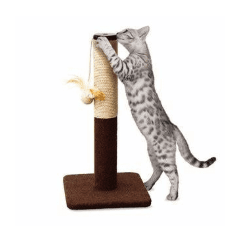 Trụ Cào Móng Mèo CattyMan Đế Vuông - Paddy Pet Shop