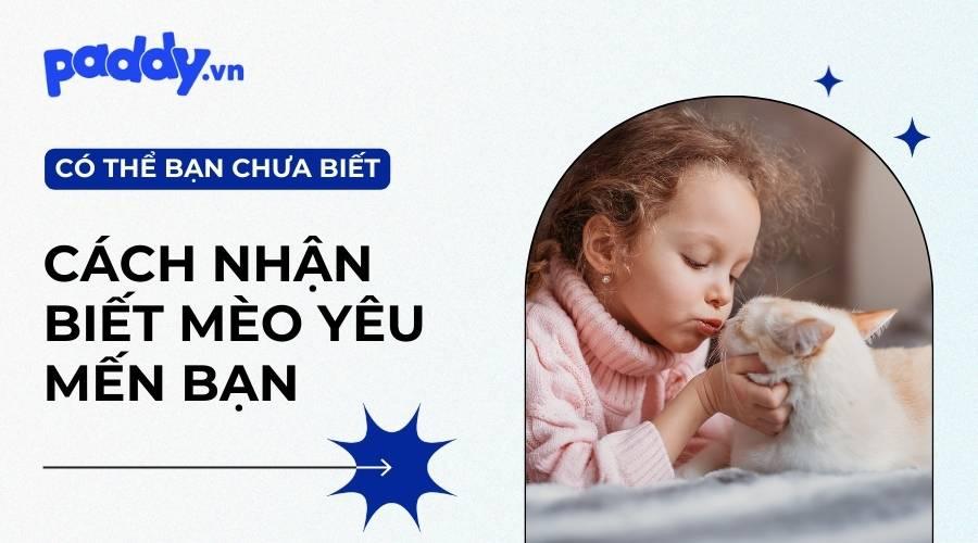 10 Dấu Hiệu Nhận Biết Mèo Yêu Bạn - Paddy Pet Shop