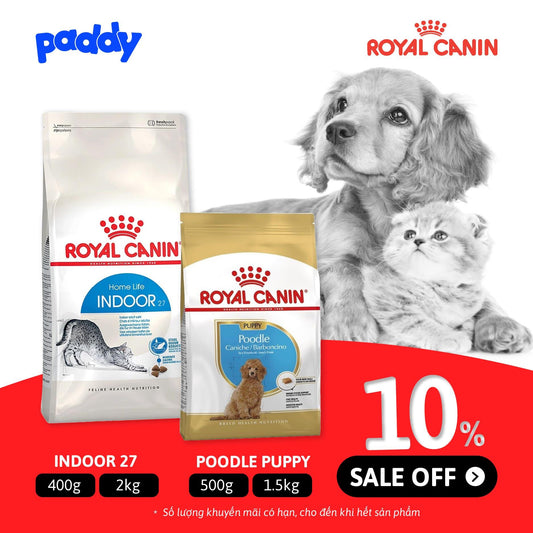 ĐỘC QUYỀN THỨC ĂN HẠT ROYAL CANIN SALE 10% - Paddy Pet Shop