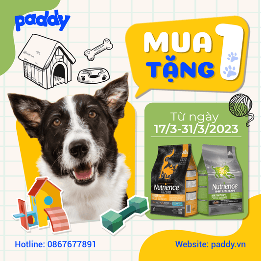 Khuyến Mãi MUA 1 TẶNG 1 - Thức ăn chó mèo Nutrience & Taste of The Wild - Paddy Pet Shop