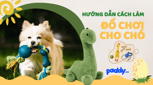 Cách Làm Đồ Chơi Cho Chó Đơn Giản Và Dễ Dàng - Paddy Pet Shop