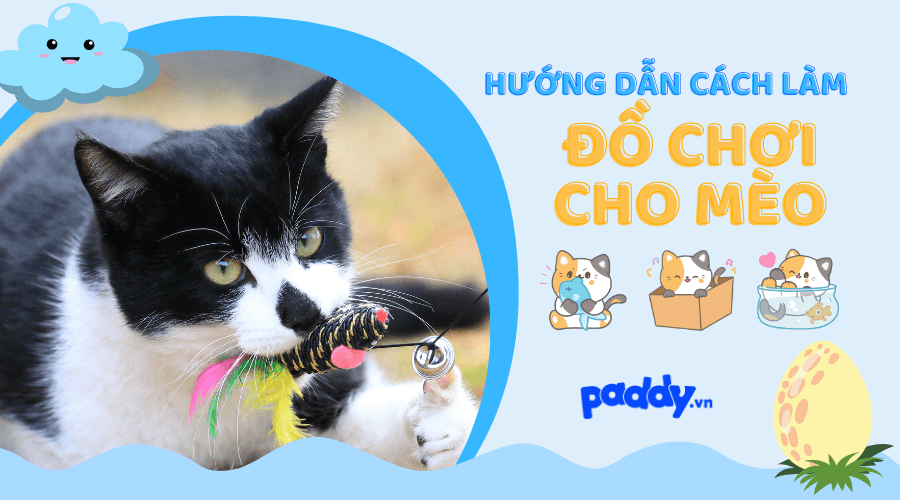 Hướng Dẫn Cách Làm Đồ Chơi Cho Mèo - Paddy Pet Shop