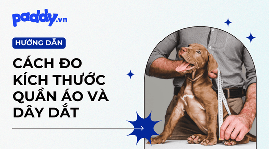 Cách Đo Kích Thước Quần Áo Và Dây Dắt Cho Chó - Paddy Pet Shop