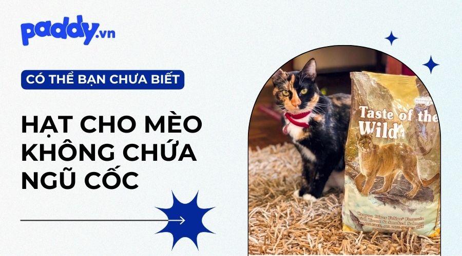 Top 3 Những Thức Ăn Hạt Cho Mèo Không Chứa Ngũ Cốc - Paddy Pet Shop