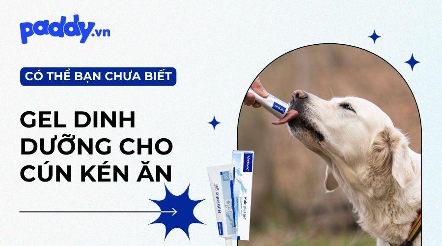 Top 6 gel dinh dưỡng tốt nhất dành cho chó biếng ăn - Paddy Pet Shop