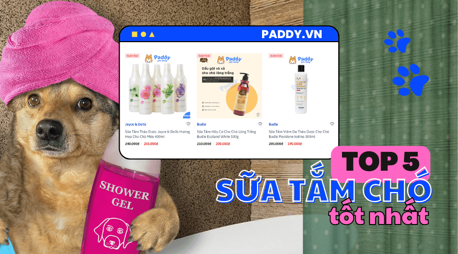 5 Loại Sữa Tắm Cho Chó Tốt Nhất Trên Thị Trường - Paddy Pet Shop