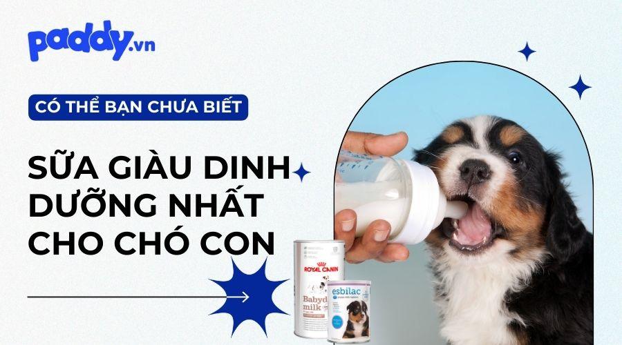 Top 10 loại sữa giàu dinh dưỡng cho chó con tốt nhất hiện nay - Paddy Pet Shop