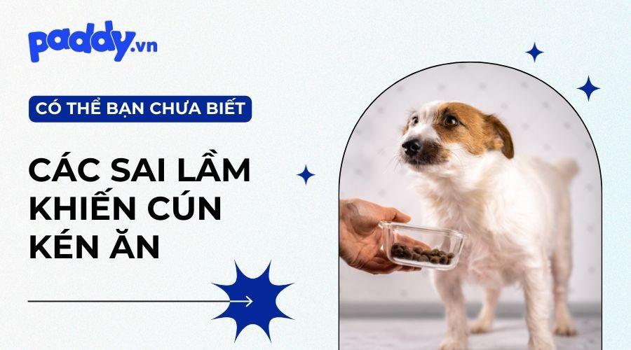 Nguyên nhân và cách khắc phục chó kén ăn hiệu quả - Paddy Pet Shop